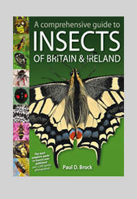 Insects of Britain and Ireland