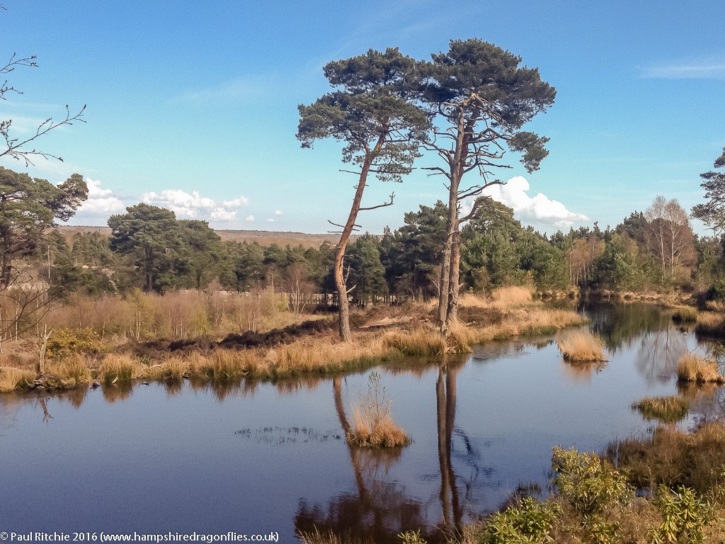 Upper Pond at Ramsdown